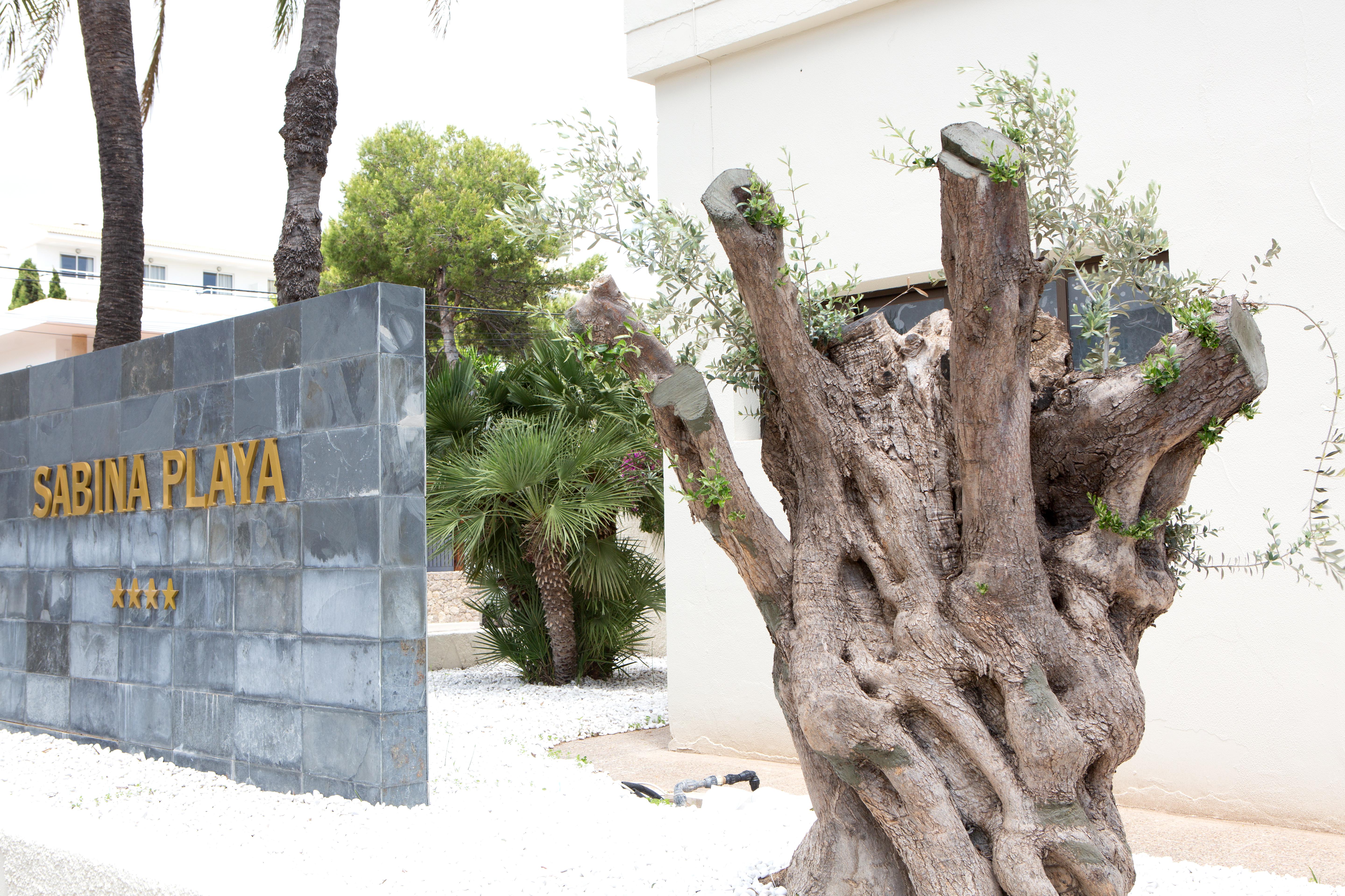 Hotel Sabina Playa (Adults Only) Cala Millor  Ngoại thất bức ảnh